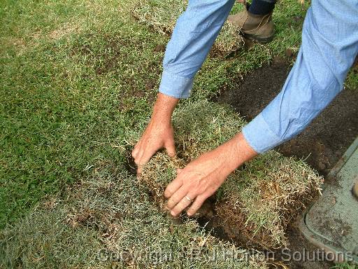 Turfing HVG 